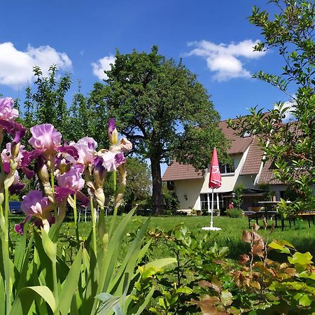 Landgasthof Zum Rappen Creglingen Bagian luar foto