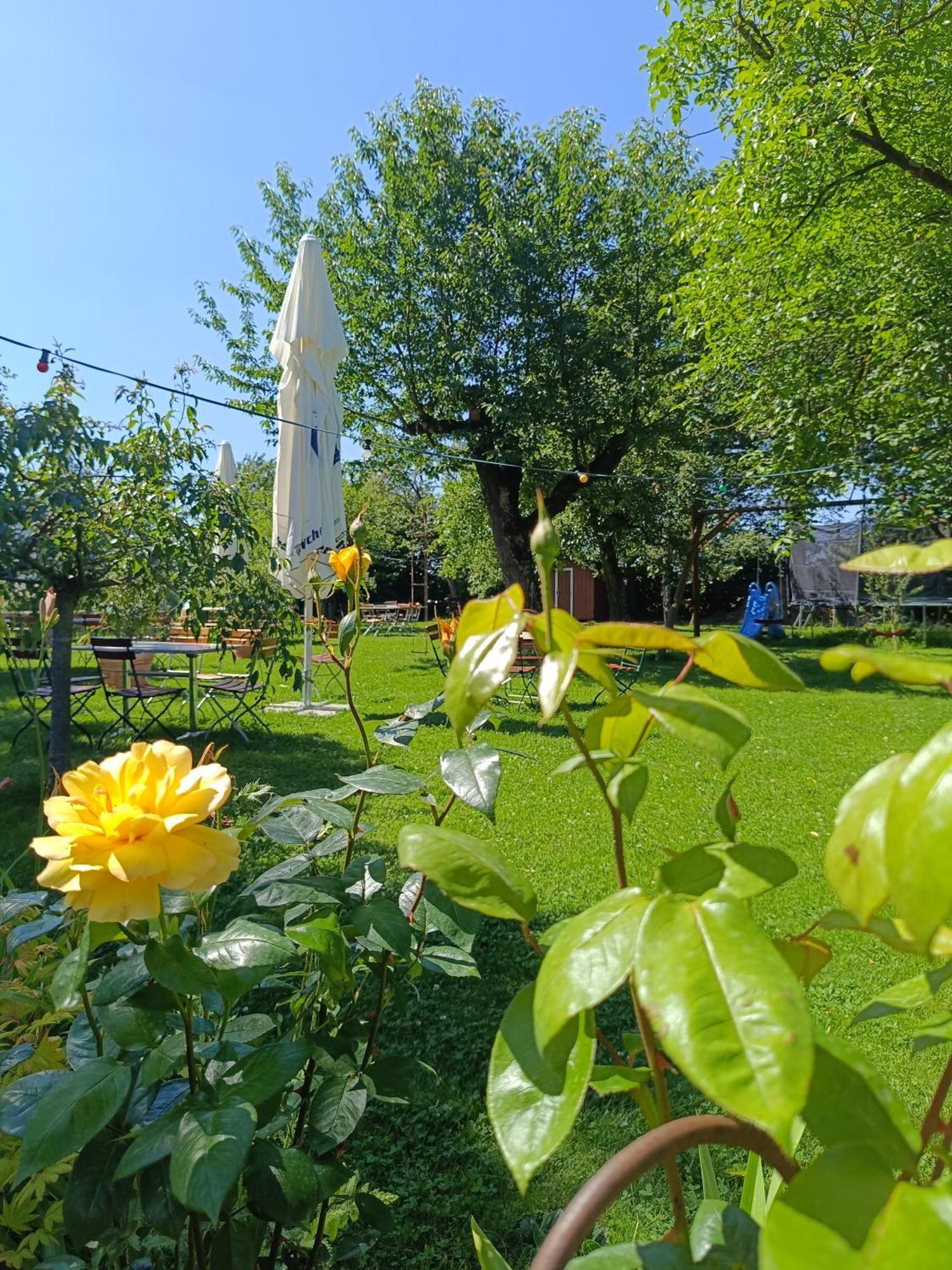 Landgasthof Zum Rappen Creglingen Bagian luar foto